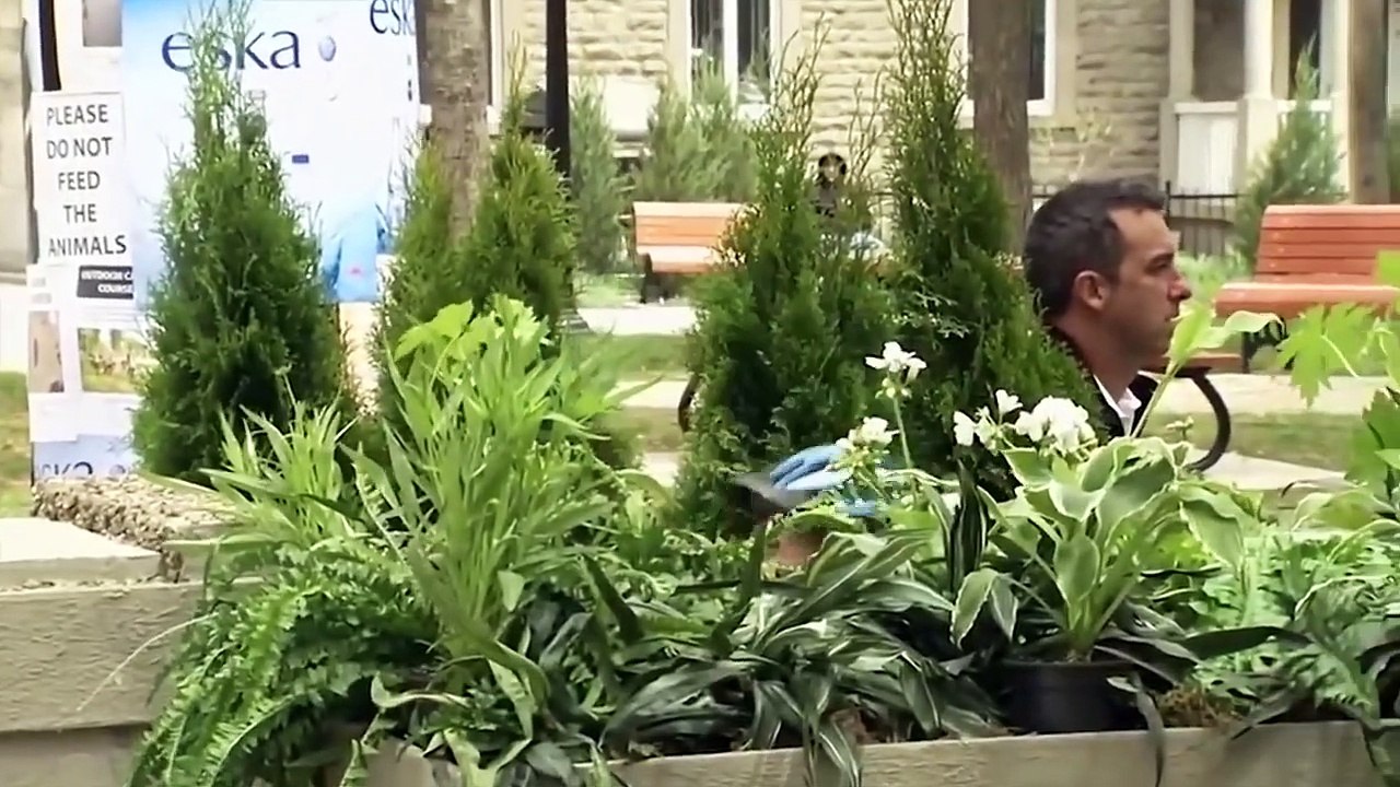 Just For Laughs Gags Compilation 2019 - BEST Amazing Just For Laughs Gags