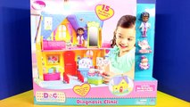 Disney Doc McStuffins Diagnosis Clinic Playset With Lambie Hallie Toy Story 3 Lotso