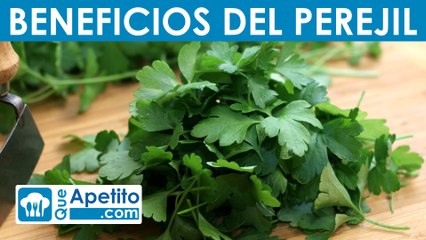 8 Propiedades y Beneficios del Perejil | QueApetito