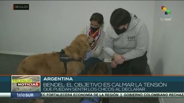 Argentina: Titán y Brownie, perros de terapia para asistencia judicial