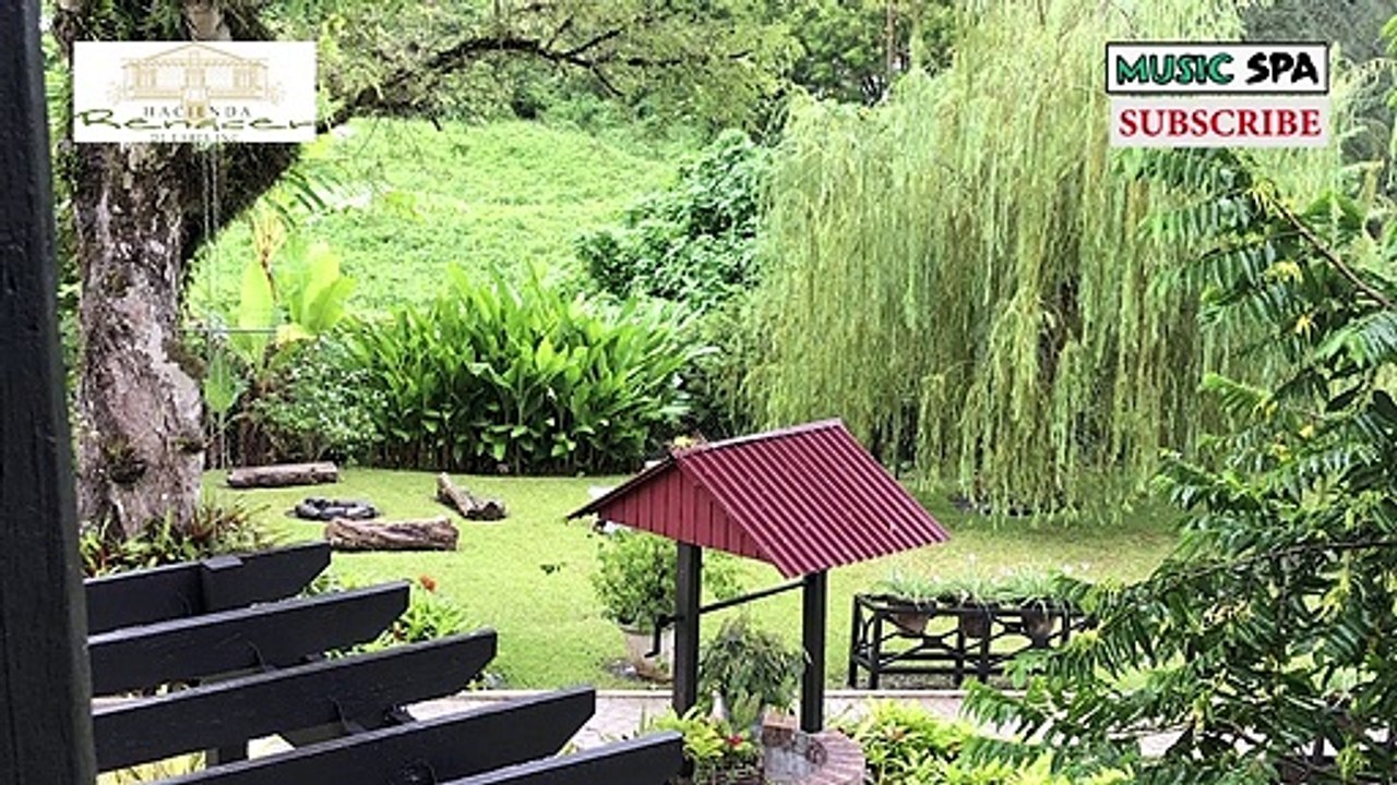 Poema  - ME DEDIQUÉ A OBSERVAR - ZOÉ - HACIENDA RENACER DE LARES INC- Puerto Rico - MUSIC SPA