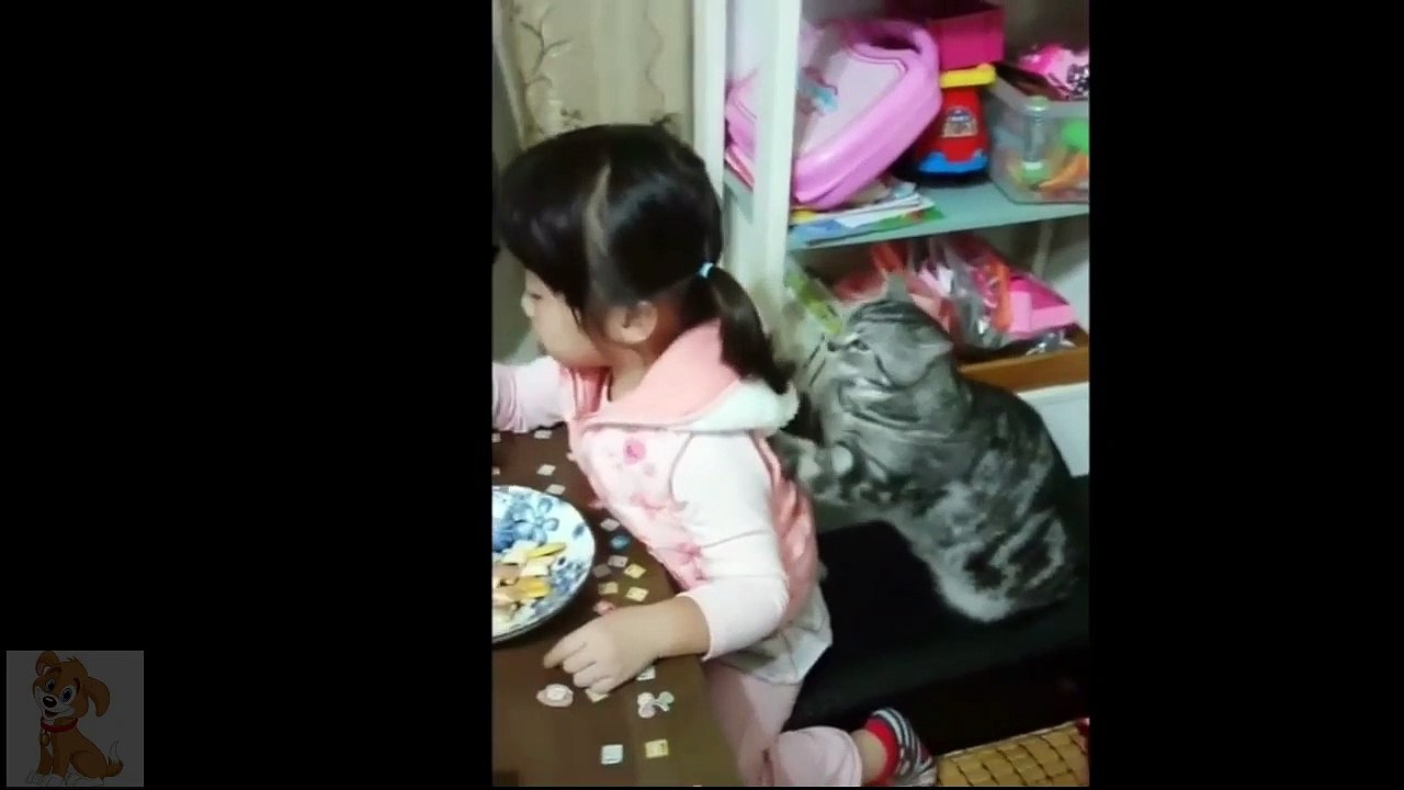 El mejor video de animales graciosos  (momentos de cuarentena) 2020