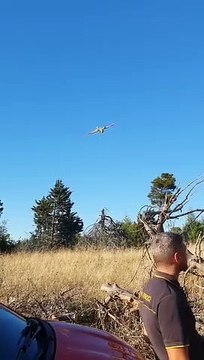 Vasto incendio a Minervino Murge: 3 canadair in azione, distrutti 20 ettari di bosco - video