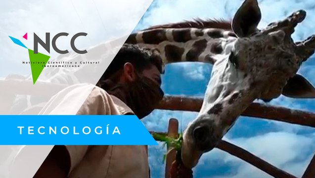 Ani­ma­les de zoo­ló­gi­co hon­du­re­ño so­bre­vi­ven con do­na­cio­nes du­ran­te pan­de­mia