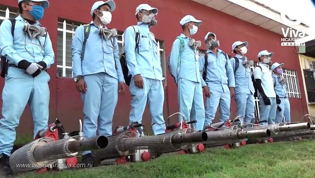 Limpieza, fumigación y abatización es la clave para hogares libres de zancudos