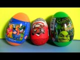Pooh Tigger Surprise Eggs Kinder Surprise Cars2 Easter Eggs Holiday Edition Shrek by Disneycollector