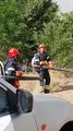 Vasto incendio a Minervino Murge: 3 canadair in azione, distrutti 20 ettari di bosco - video