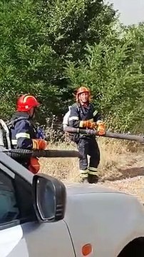 Vasto incendio a Minervino Murge: 3 canadair in azione, distrutti 20 ettari di bosco - video