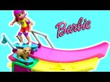 Barbie Doll Club Chelsea Puppy Skateboard and Ramp Dolls for Girls by Funtoys Channel