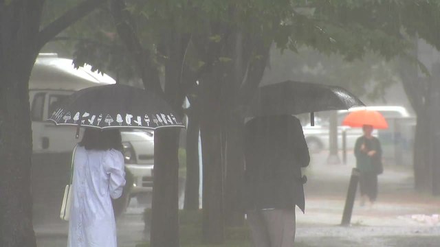 [날씨] 남부·제주 호우특보...최고 200mm 호우 / YTN