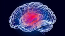 New Study Finds Brain Damage In COVID-19 Victims