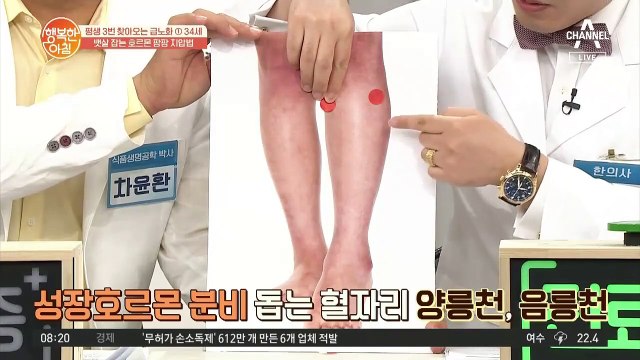 노화를 잡아라! 뱃살 잡는 호르몬 팡팡↗ 지압법