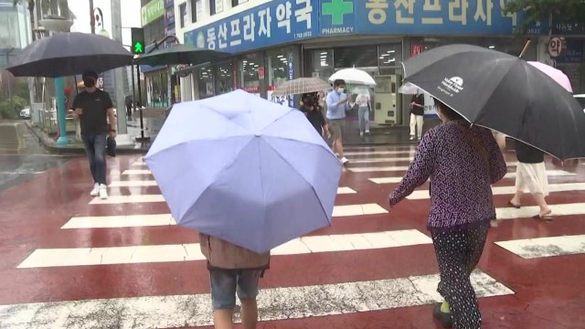 [날씨] 영동, 영남 해안 호우특보...최고 200mm↑ 폭우 / YTN
