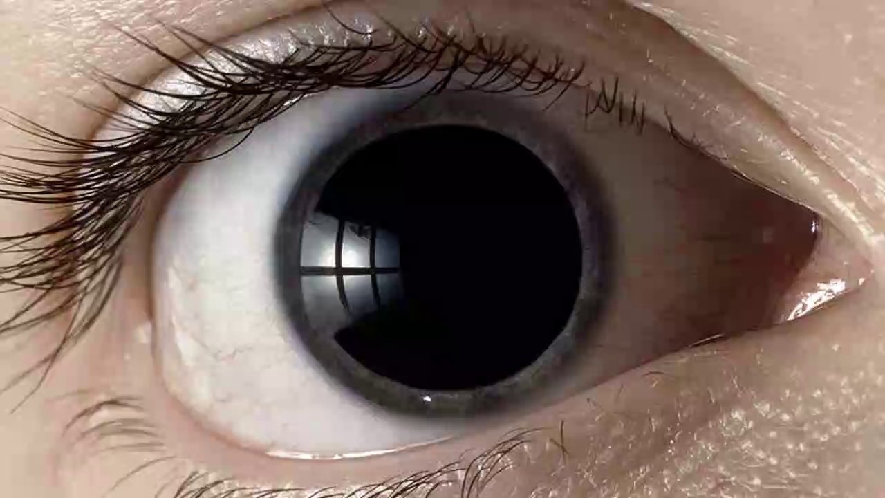 10 Craziest Drugs You've Never Heard Of