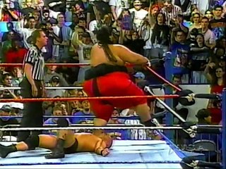 WWF Summer Flashback Montage