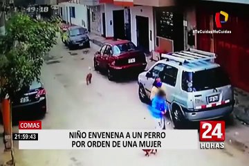 Comas: vecinos habrían identificado a mujer que obligó a su hijo a envenenar a perro