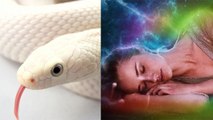 Snake In Dream : सपने में सफेद सांप दिखने का होता ये मतलब ।  White Snake In Dreams । Boldsky