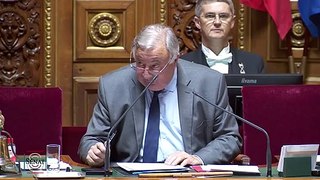 08.07.2020 - Laurent Duplomb interroge la ministre de l'Ecologie