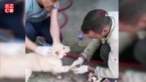 Ayakları asfalta yapışan yavru köpek böyle kurtarıldı