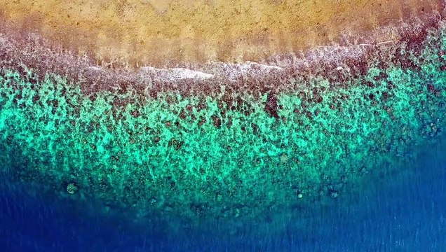 Relaxing waves on the beach Ocean sounds will help you relax