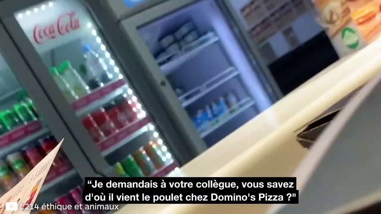 Choc : Les poulets de Domino’s Pizza proviendraient d’élevages intensifs brésiliens