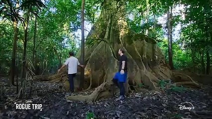 Savaş muhabiri Bob Woodruff, "Rogue Trip"te oğluyla farklı bir maceraya atılıyor