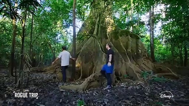 Savaş muhabiri Bob Woodruff, Rogue Trip te oğluyla farklı bir maceraya atılıyor