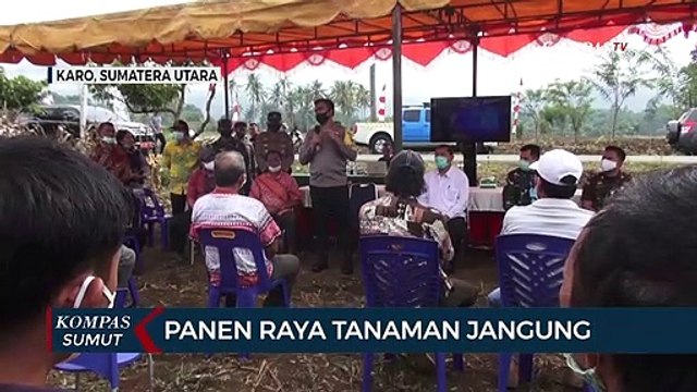 Polres Tanah Karo Panen Raya Jagung