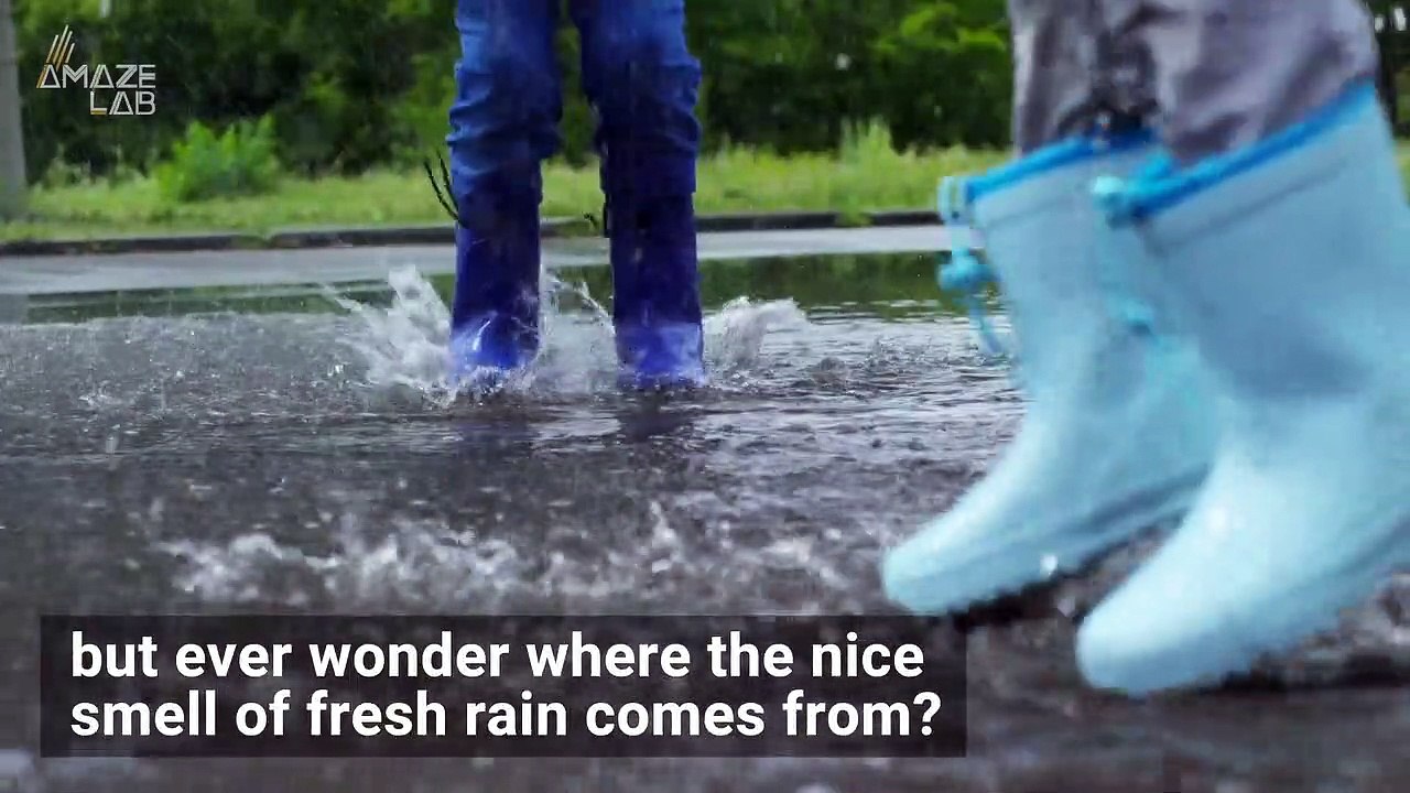 The Reason Why Rain Smells So Good