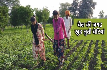 यह हैं आत्मनिर्भर बेटियां, बैल नहीं मिले तो खुद उठाने लगी बोझ