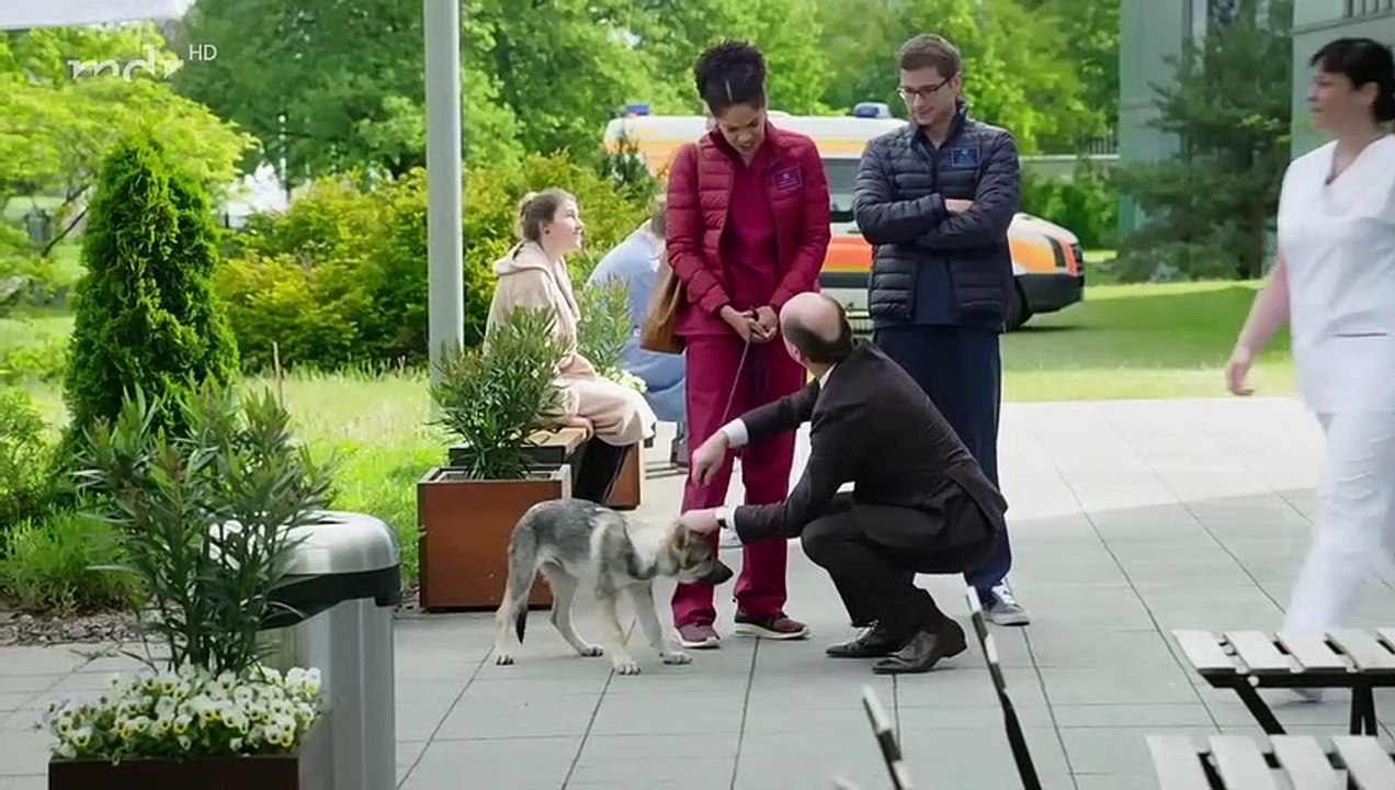 In aller Freundschaft Die Jungen Ärzte - Folge 115: Wahlverwandschaften