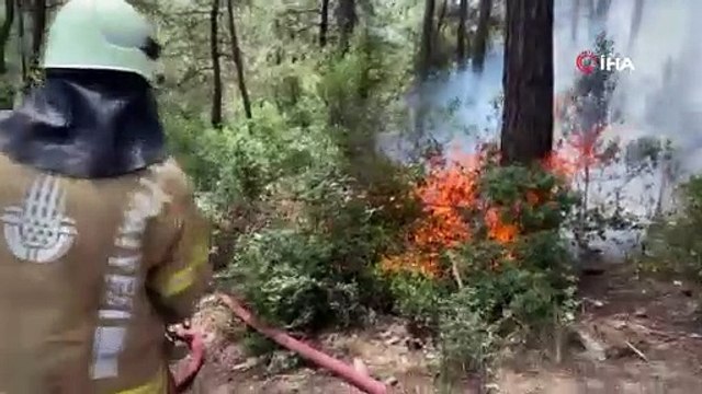 Sarıyer’de 500 metrekarelik alan alev alev yandı
