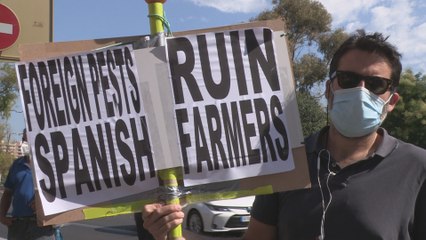 Concentración de agricultores valencianos por la importación de plagas de Sudáfrica