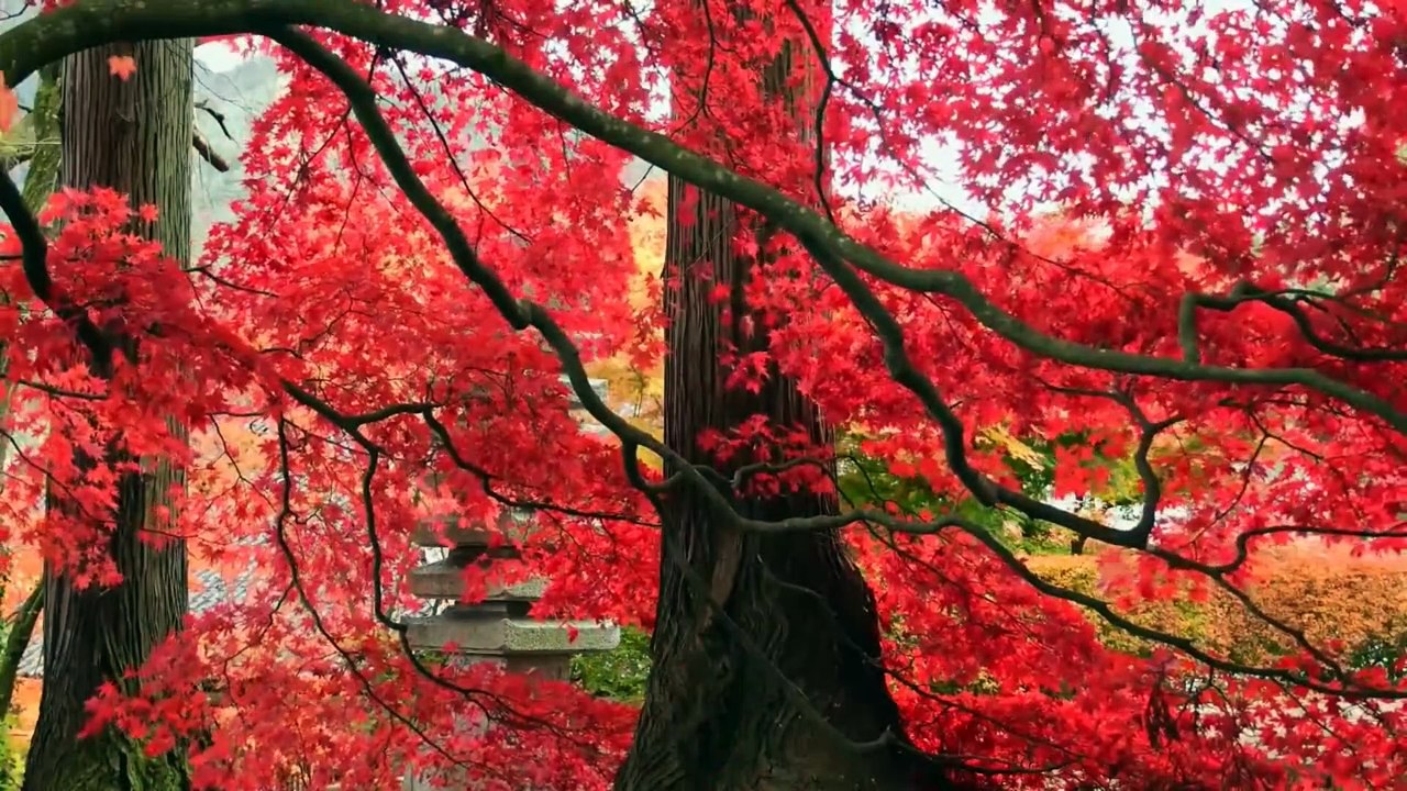 Happy and Inspirational Music. Copyright and Royalty Free