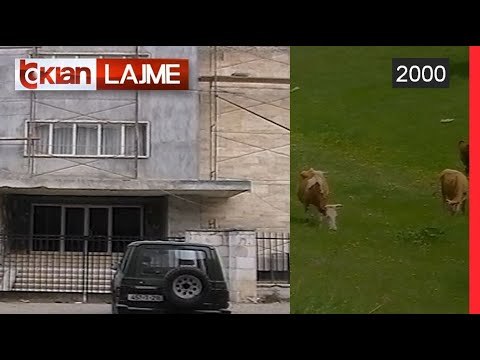 Prokuroria e Përgjithshme hetim per mishin e infektuar - (15 Qershor 2000)