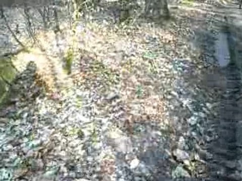 Rando VTT de la Mothe St Héray le 17 Février 2008 (2)