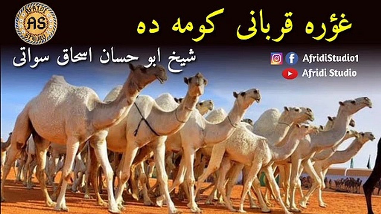 غؤرہ قربانی کومہ دہ | شیخ ابو حسان اسحاق سواتی | Ghwara qurbani koma da | Abu hassan ishaq swati