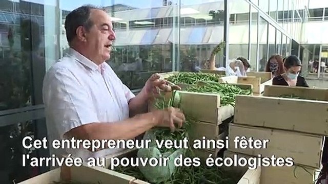 Cadeau écolo à la Métropole de Lyon : 1,5 tonne de haricots verts bio !