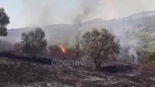Ora News - Zjarri djeg ullishten në Patos, flakët shumë pranë puseve të naftës