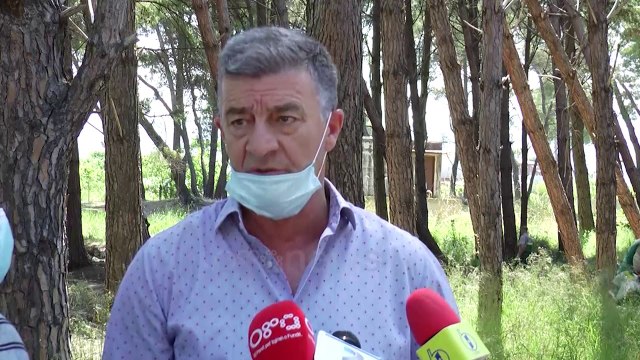 Ora News - Masakra në pyllin e Sodës, ndryshon strategjia për mbrojtjen e “mushkërisë” së Vlorës