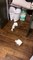 Dog Leaves a Trail of Toilet Paper Destruction