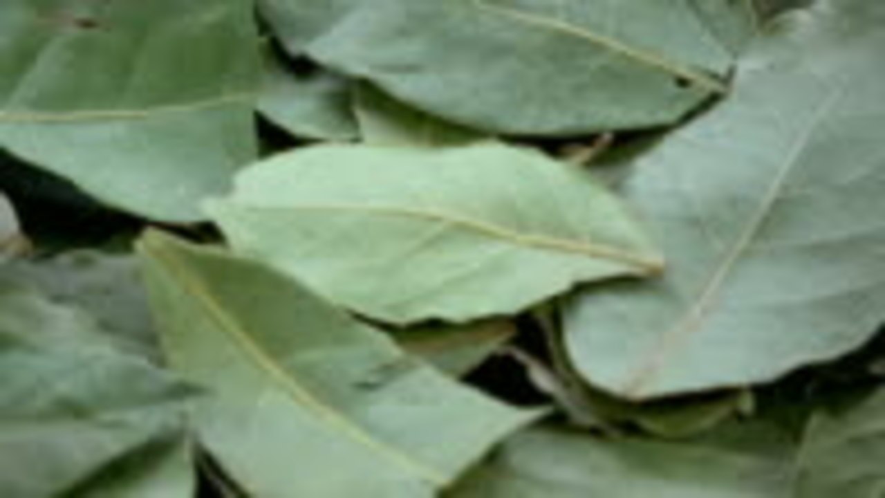In Defense of the Bay Leaf