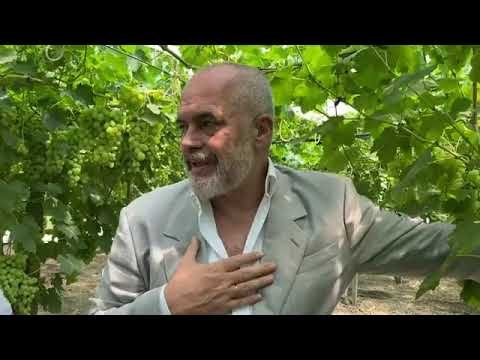 Fermeri i kërkon një transformator, Rama: Po s’të erdhi brenda 15 korrikut, më dërgo mesazh