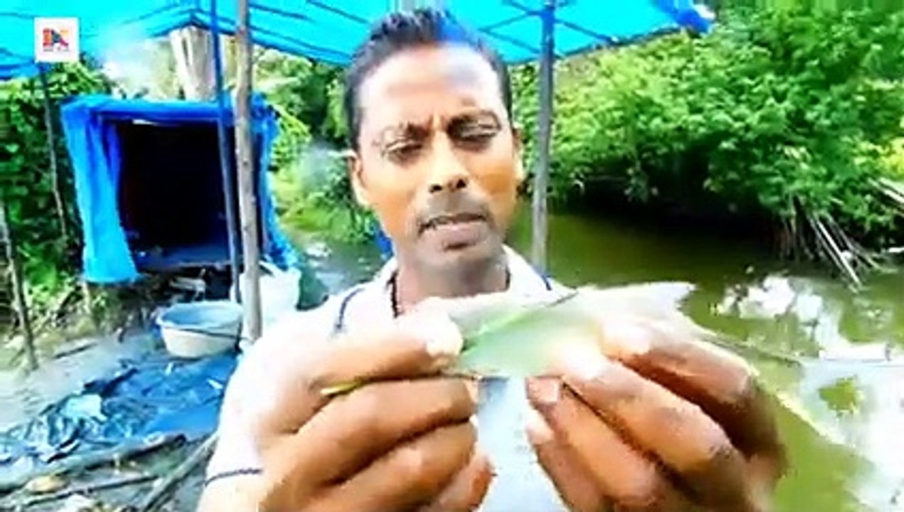 വീണ്ടും ചെമ്മീൻ കെട്ടിൽ(240P)_1