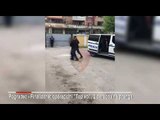 Kapet 1 kilogram kanabis, arrestohen 2 të rinj në Pogradec