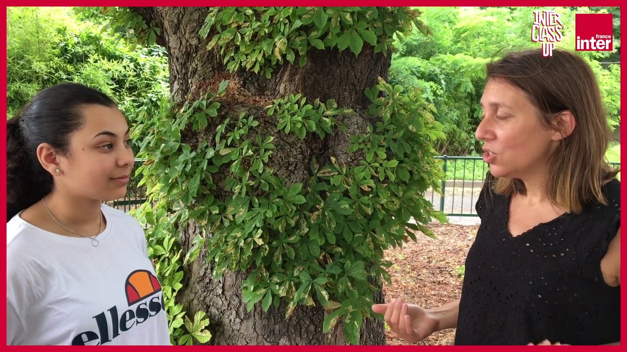 Une journée avec... Hélène Roussel - Une interview de Verona pour Interclass'
