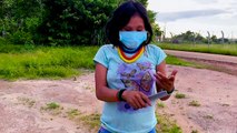وباء كوفيد-19 يهدد ثقافة السكان الأصليين في البرازيل