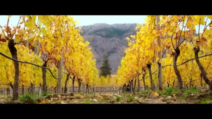 ENDLESS Official Trailer (2020) /Filmax Turkey/