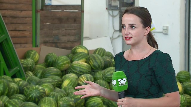 Nuk ka treg për shalqirin/ Sasia e madhe e prodhimit solli uljen e çmimit