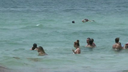 Top News - Rastet e reja në SHBA, shtetet ndalin zbutjen e masave